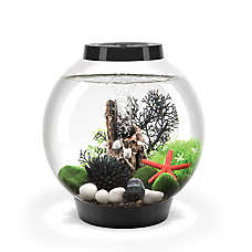 biOrb CLASSIC 15 Aquarium with LED - 4 Gallon Fish Tank Kit with LED & Filter