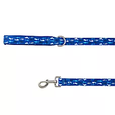 Top Paw庐 Dog Leash, Walking Dog Leash, Shark Print, Blue Dog Leash, 4' Long