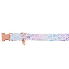 Top Paw? Cheetah Dog Collar, Purple Dog Collar, Comortable, Adjustable, Neoprene, Multiple Sizes