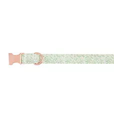 Top Paw庐 Green Leaves Dog Collar, Green & White Dog Collar, Adjustable, Neoprene, Multiple Sizes