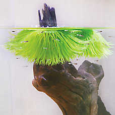 Penn-Plax Fish Breeding Grass - Aquarium Breeder Accessory for Fish Tanks