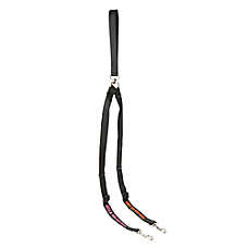 Coastal Pet Products Personalized Double Walker Dog Leash: 4-ft long
