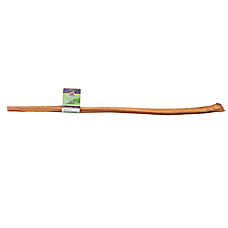 Redbarn Adult Dog Chew - 24 Inch Bully stick