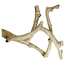 A&E Cage Company Java Wood Branch - Natural Wood Bird Cage Perch