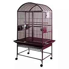 A&E Cage Company Dome Top Pet Bird Cage for Large Birds