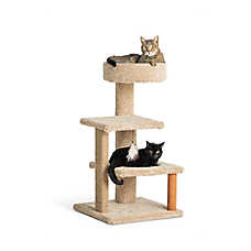 Whisker City? 37-in Cozy Climber Carpet 3-Level Cat Tower with Scratching Post (COLOR VARIES)