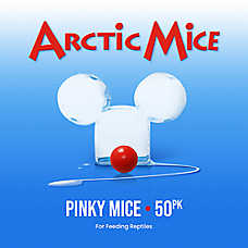 Arctic Mice Frozen Pinky Mice - Frozen Reptile Food - 50-100 ct