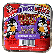 C&S Berry Wild Bird Suet Bird Food Berry Suet Cake