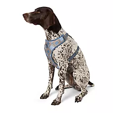 Top Paw庐 Aztec Adjustable Fashion Comfort Dog Harness