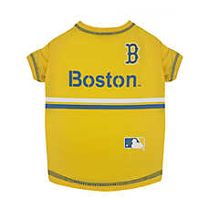 Pets First Boston Red Sox City Connect Tee